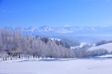 雪の富良野は360度絶景