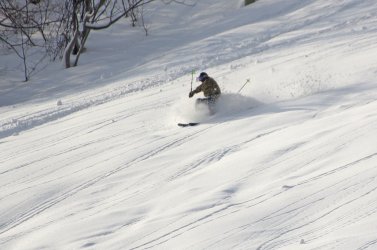 雪量が豊富で地形を活かしたコース