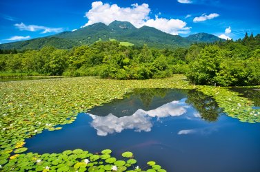 絶景スポット「いもり池」