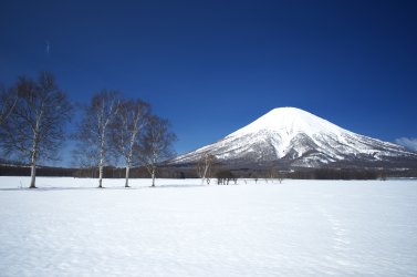 雪の羊蹄山