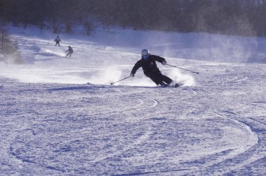 パウダースノーでワンランク上の滑走を